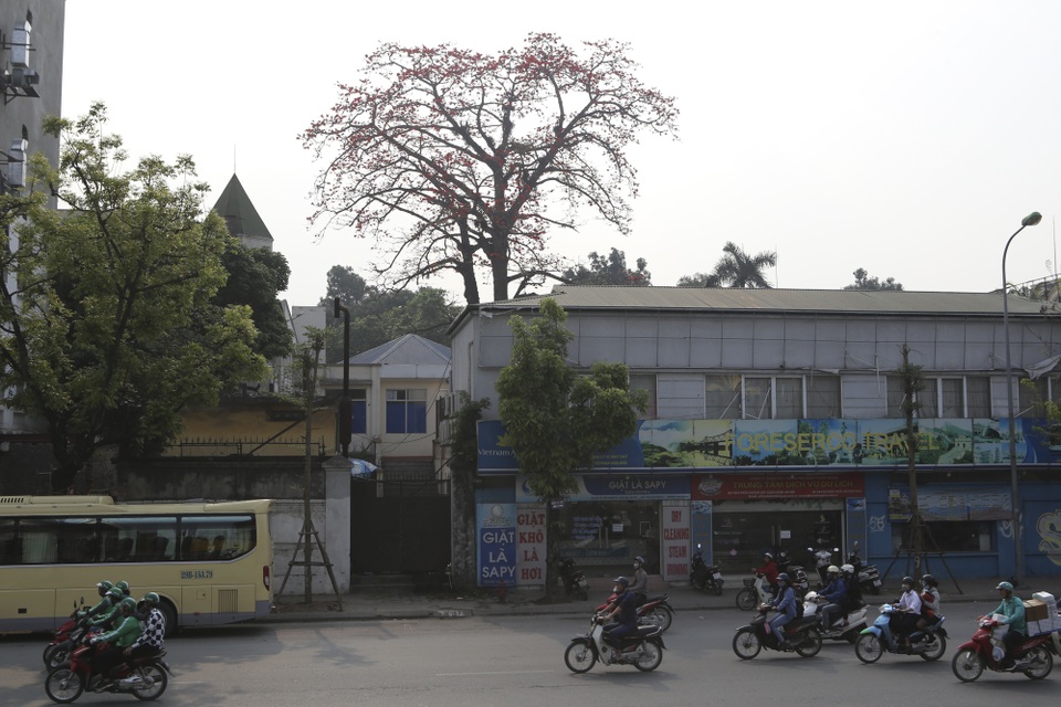 Hà Nội thơ mộng trong sắc đỏ hoa gạo - 4 Hà Nội thơ mộng trong sắc đỏ hoa gạo - 4