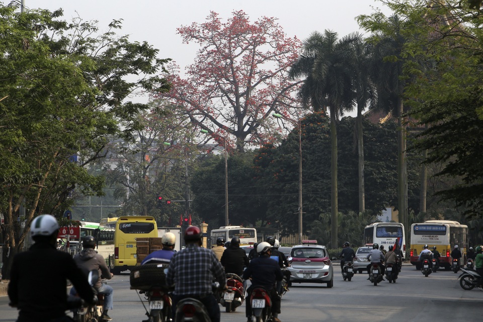 Hà Nội thơ mộng trong sắc đỏ hoa gạo - 6 Hà Nội thơ mộng trong sắc đỏ hoa gạo - 6