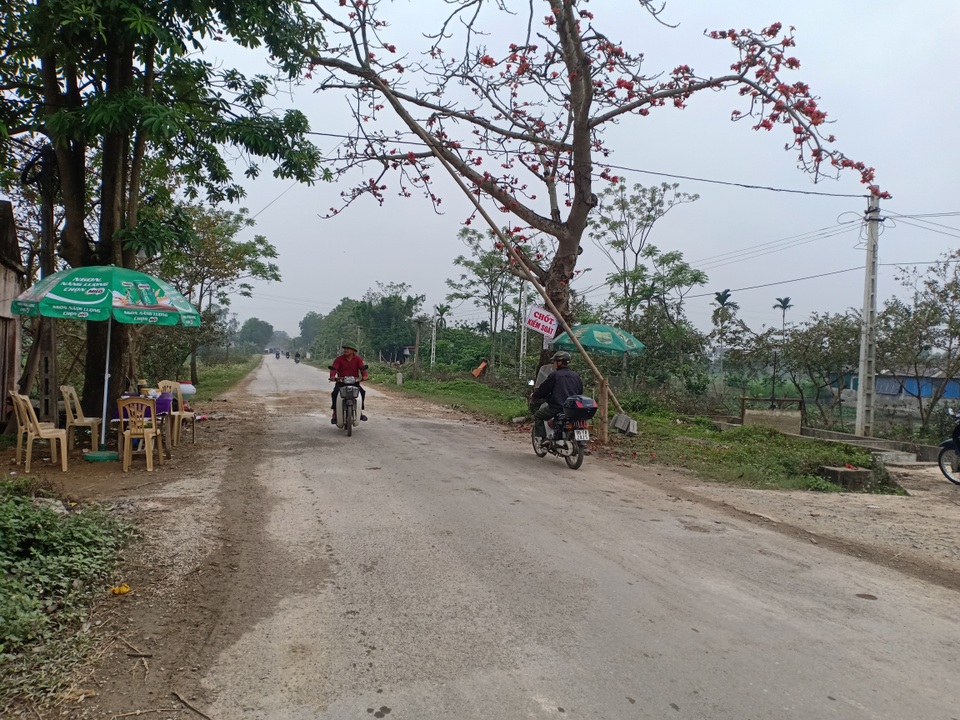 Thanh Hóa: Bệnh tả lợn châu Phi lan nhanh, cán bộ đánh bài ở chốt kiểm dịch - 1