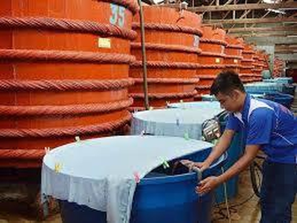 Phó Thủ tướng Vũ Đức Đam: Không để ảnh hưởng tiêu cực đến nước mắm truyền thống - 1 Phó Thủ tướng Vũ Đức Đam: Không để ảnh hưởng tiêu cực đến nước mắm truyền thống - 1