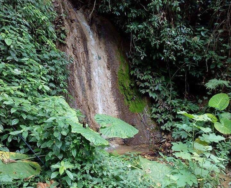 Ảo giác bị bắt cóc, người đàn ông trốn biệt tích trong rừng sâu - 1 Ảo giác bị bắt cóc, người đàn ông trốn biệt tích trong rừng sâu - 1