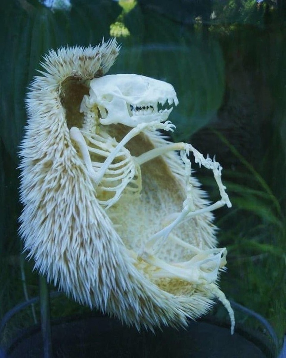 tu_nhien_7.jpg tu_nhien_7.jpg