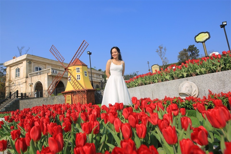 Vòng quanh thế giới ngắm những vườn tulip vạn người mê 1.jpg Vòng quanh thế giới ngắm những vườn tulip vạn người mê 1.jpg