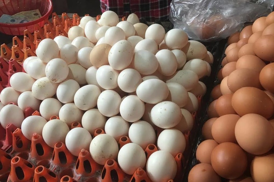 Trứng gà rẻ chưa từng thấy: Lỗ 10 triệu đồng/ngày, vài bữa nữa tôi phá sản - 1 Trứng gà rẻ chưa từng thấy: Lỗ 10 triệu đồng/ngày, vài bữa nữa tôi phá sản - 1