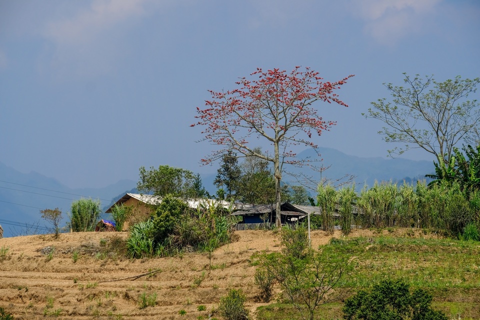 Những bức ảnh khiến ai cũng muốn đi Hà Giang tháng 3 này - 5 Những bức ảnh khiến ai cũng muốn đi Hà Giang tháng 3 này - 5