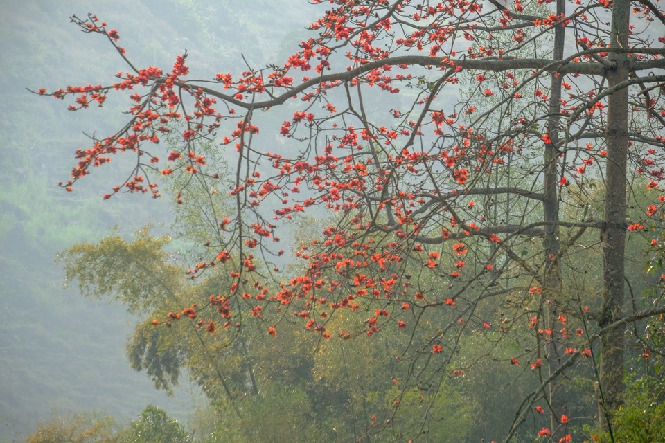 Những bức ảnh khiến ai cũng muốn đi Hà Giang tháng 3 này - 8 Những bức ảnh khiến ai cũng muốn đi Hà Giang tháng 3 này - 8