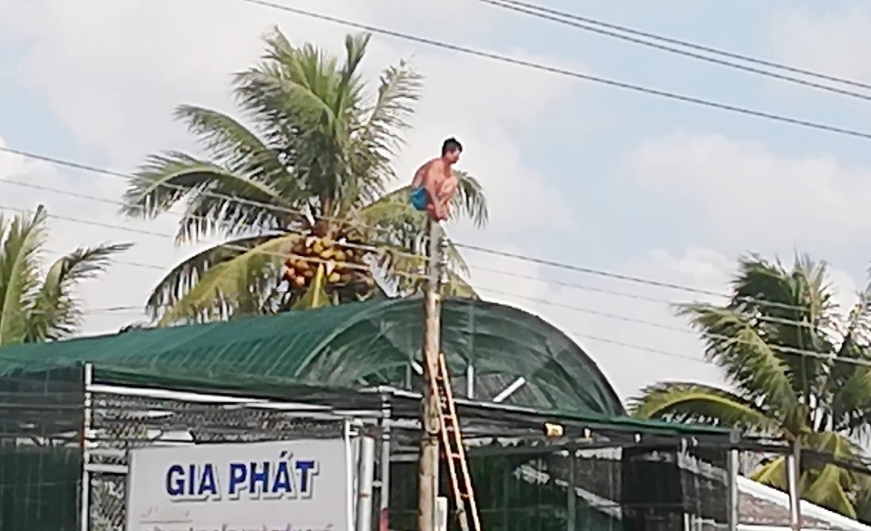 Thót tim giải cứu nam thanh niên làm xiếc trên cột điện - 3
