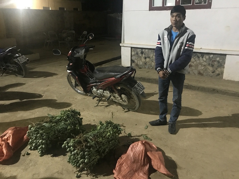 4 thanh niên cùng nhau trồng 1 nương cây thuốc phiện để bán - 3