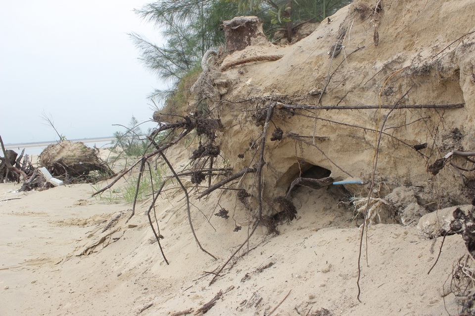 Biển “xóa sổ” rừng phòng hộ, hàng chục hộ dân phải bỏ nhà di tản - 3