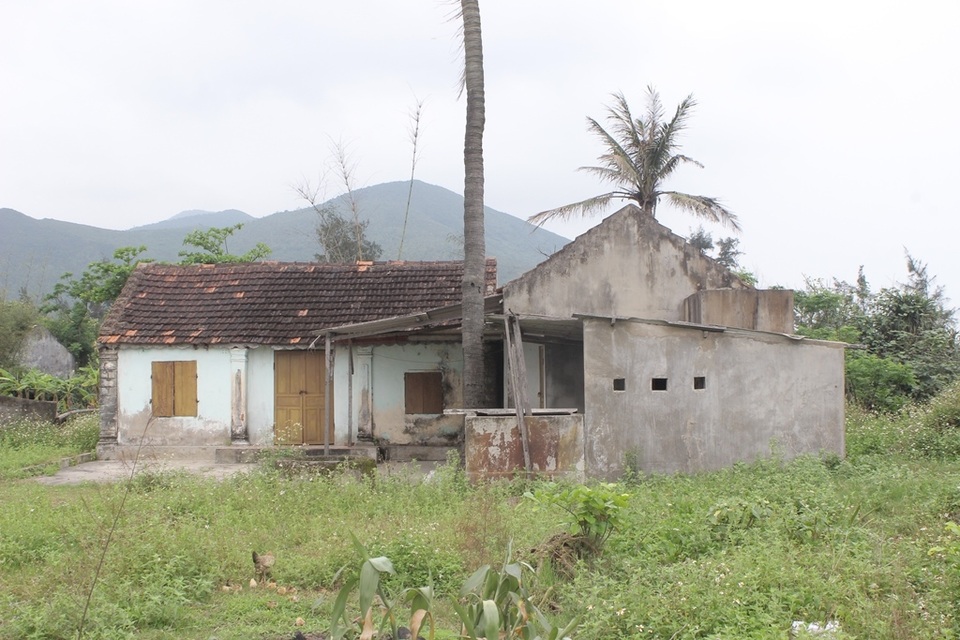 Biển “xóa sổ” rừng phòng hộ, hàng chục hộ dân phải bỏ nhà di tản - 6