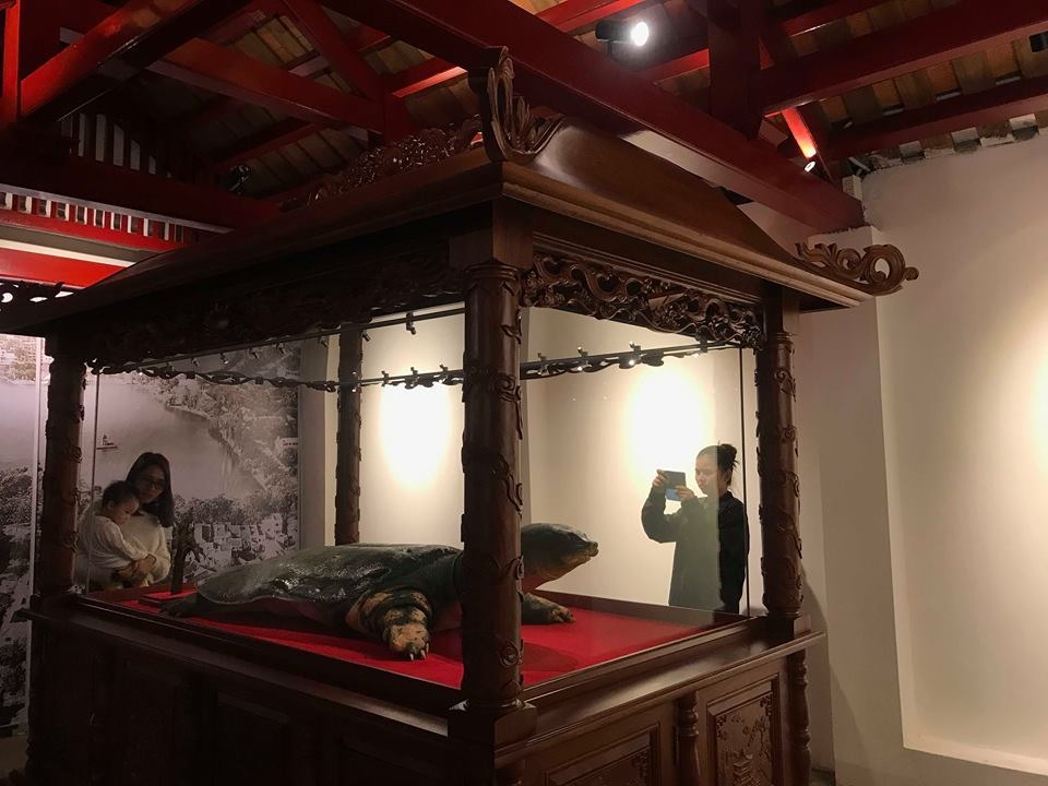 tieu ban rua ho guom 6.jpg tieu ban rua ho guom 6.jpg