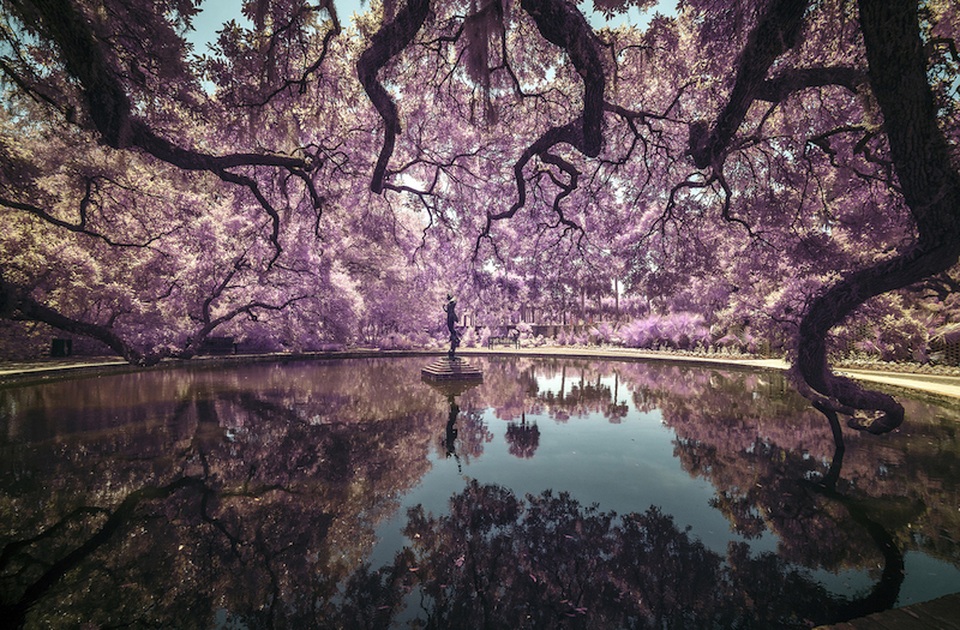 Những bức ảnh ấn tượng đầu tiên của giải thưởng nhiếp ảnh thế giới 2019 - 2