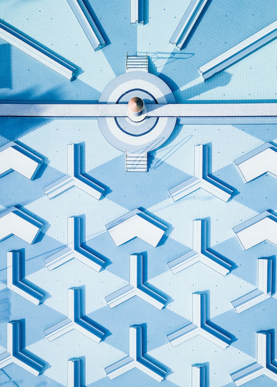 Những bức ảnh ấn tượng đầu tiên của giải thưởng nhiếp ảnh thế giới 2019 - 3