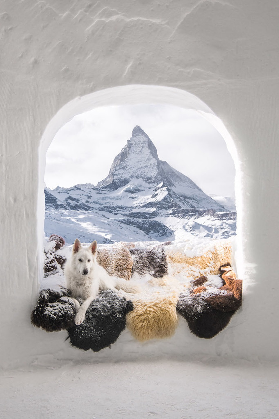 Những bức ảnh ấn tượng đầu tiên của giải thưởng nhiếp ảnh thế giới 2019 - 4