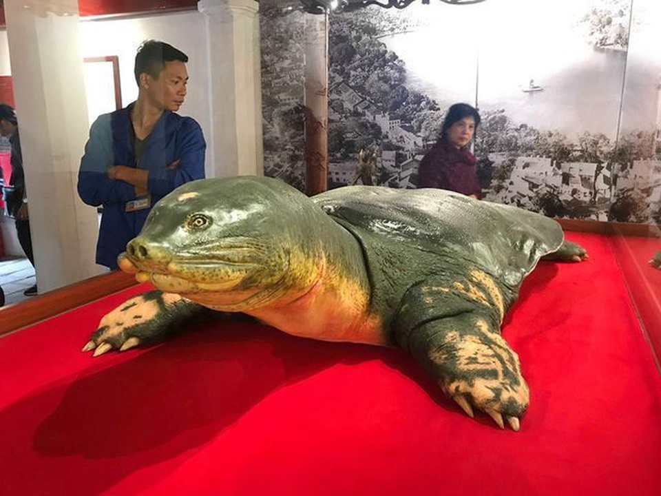 Đường đi bộ ven sông Tô Lịch và cú bẻ lái “thần kỳ” cứu cháu bé 6 tuổi - 4 Đường đi bộ ven sông Tô Lịch và cú bẻ lái “thần kỳ” cứu cháu bé 6 tuổi - 4