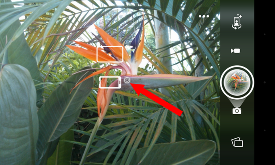 Camera51-2.png Camera51-2.png