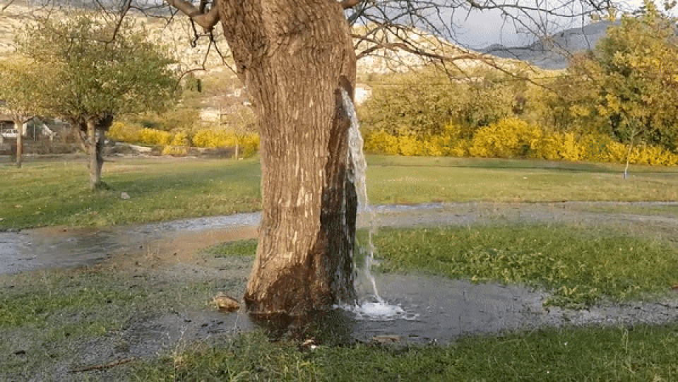 1.gif 1.gif