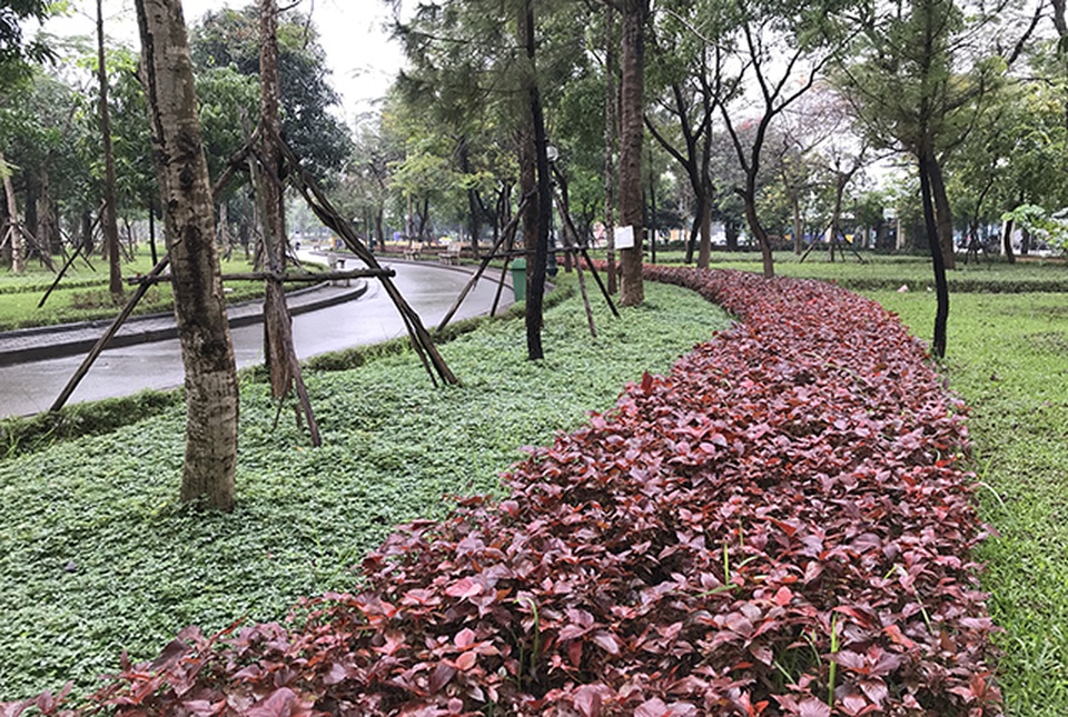 Cận cảnh khu đất được đề xuất xây bãi đỗ xe ngầm trong Công viên Cầu Giấy - 9 Cận cảnh khu đất được đề xuất xây bãi đỗ xe ngầm trong Công viên Cầu Giấy - 9