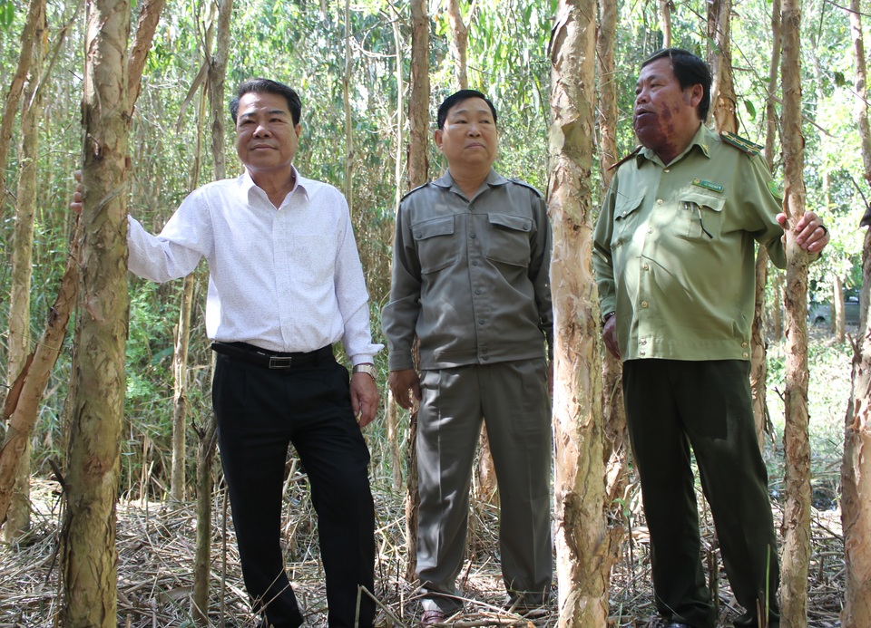 IMG_6197.jpg IMG_6197.jpg