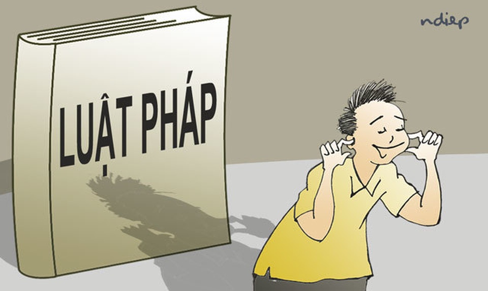 m_nhon-luat.jpg m_nhon-luat.jpg