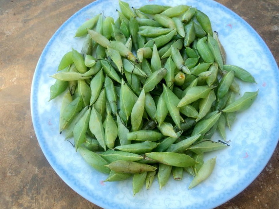 Món côn trùng chị em kinh sợ tránh xa lại là đặc sản vạn người mê - 2 Món côn trùng chị em kinh sợ tránh xa lại là đặc sản vạn người mê - 2