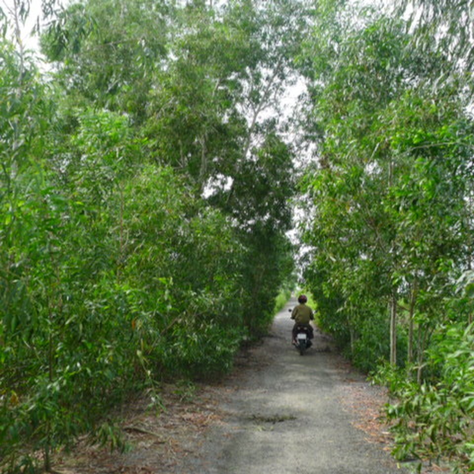 P1220580.JPG P1220580.JPG