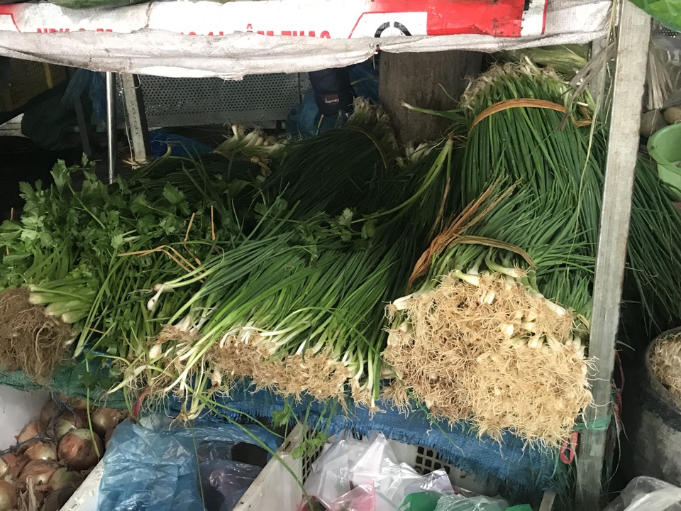 Rau xanh khan hiếm, tăng “phi mã” do mưa rét? - 4 Rau xanh khan hiếm, tăng “phi mã” do mưa rét? - 4