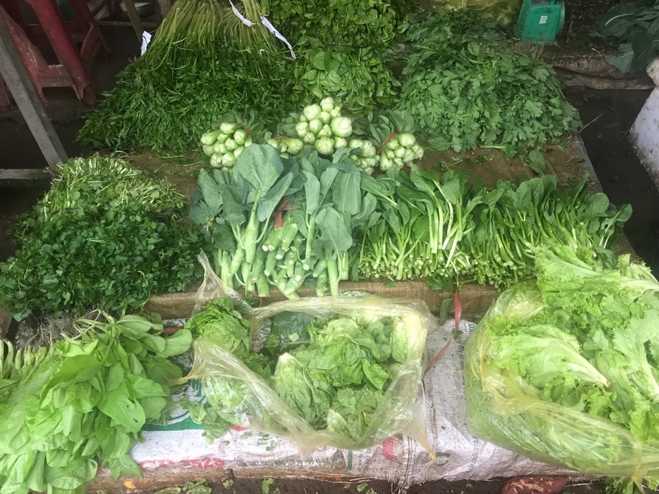 Rau xanh khan hiếm, tăng “phi mã” do mưa rét? - 2 Rau xanh khan hiếm, tăng “phi mã” do mưa rét? - 2