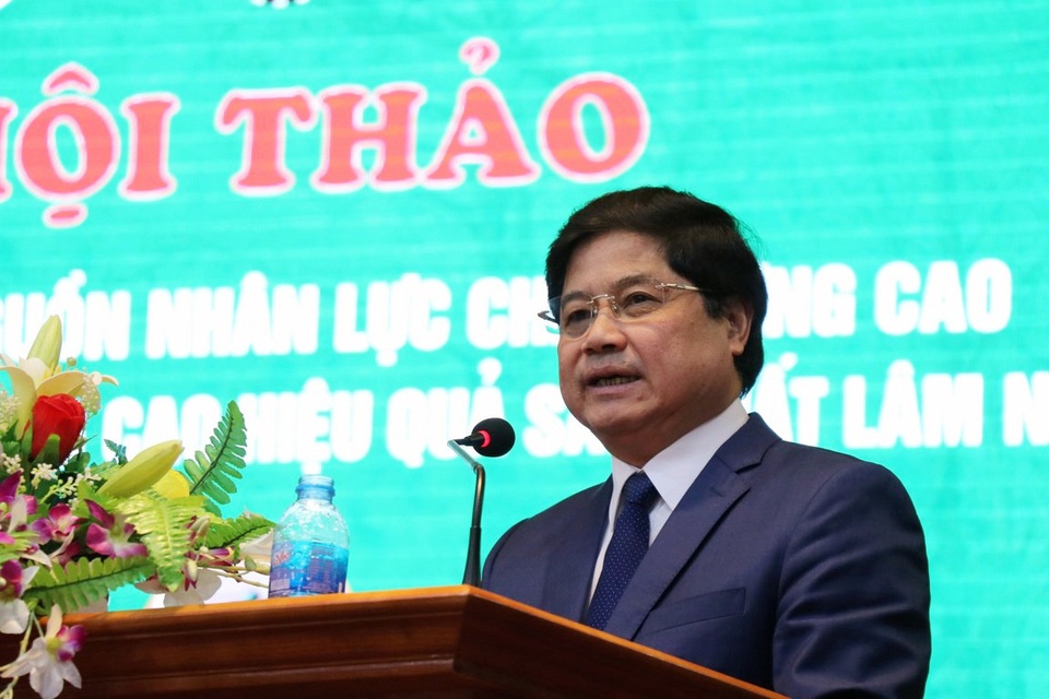“Khát” nhân lực chất lượng cao ngành Lâm nghiệp - 3 “Khát” nhân lực chất lượng cao ngành Lâm nghiệp - 3