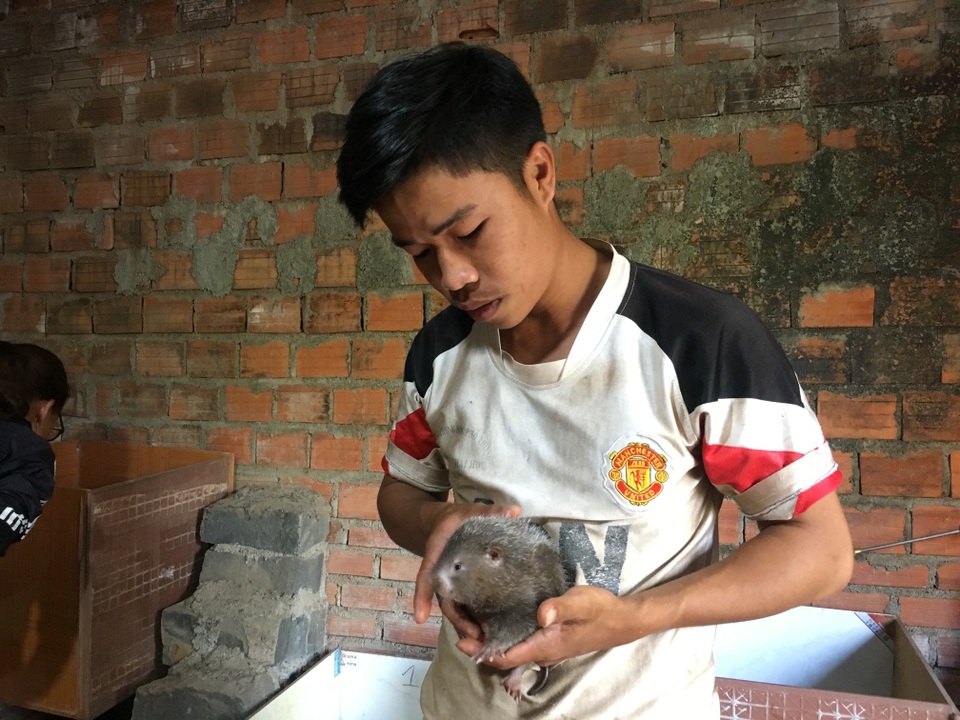 Phó Bí Thư đoàn khởi nghiệp từ nghề nuôi dúi, thu nhập hơn 10 triệu đồng/tháng - 1 Phó Bí Thư đoàn khởi nghiệp từ nghề nuôi dúi, thu nhập hơn 10 triệu đồng/tháng - 1