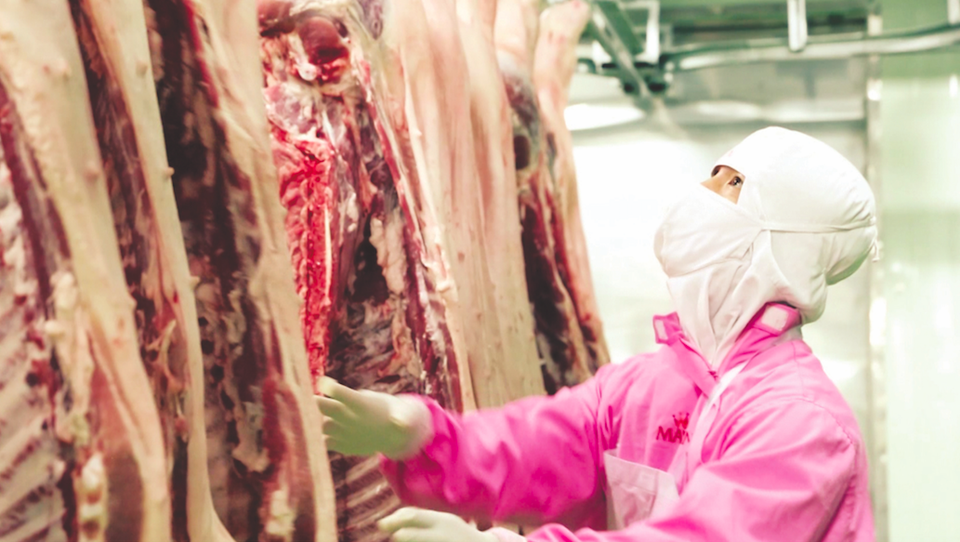 Thịt heo sạch vững vàng trong tâm bão dịch - 2 Thịt heo sạch vững vàng trong tâm bão dịch - 2