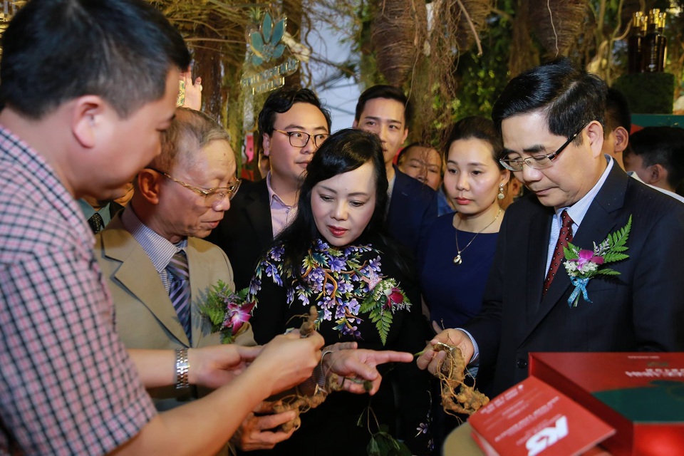 Sâm Quốc bảo hàng trăm triệu đồng và hàng loạt dược liệu quý được trưng bày ngay tại Hà Nội.jpg Sâm Quốc bảo hàng trăm triệu đồng và hàng loạt dược liệu quý được trưng bày ngay tại Hà Nội.jpg