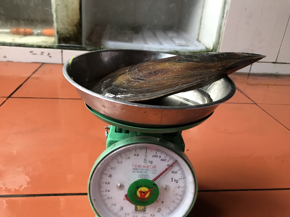 somaiQuangNinh5.jpg somaiQuangNinh5.jpg
