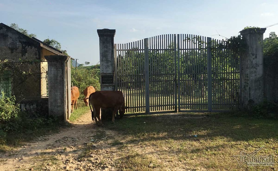 Đại gia đá đỏ đếm tiền cả ngày không hết giờ ra sao? - 3 Đại gia đá đỏ đếm tiền cả ngày không hết giờ ra sao? - 3