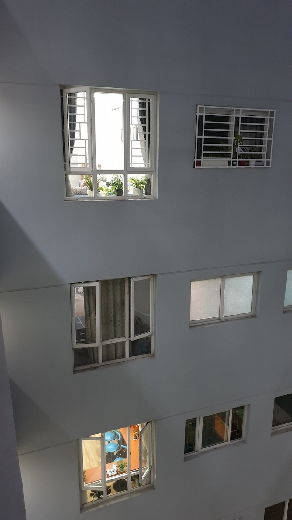 1 năm sau vụ cháy %22kinh hoàng%22, cuộc sống ở Carina đã hồi sinh 1 năm sau vụ cháy %22kinh hoàng%22, cuộc sống ở Carina đã hồi sinh