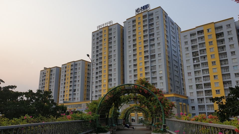 1 năm sau vụ cháy %22kinh hoàng%22, cuộc sống ở Carina đã hồi sinh 1 năm sau vụ cháy %22kinh hoàng%22, cuộc sống ở Carina đã hồi sinh