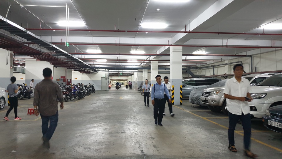 1 năm sau vụ cháy %22kinh hoàng%22, cuộc sống ở Carina đã hồi sinh 1 năm sau vụ cháy %22kinh hoàng%22, cuộc sống ở Carina đã hồi sinh