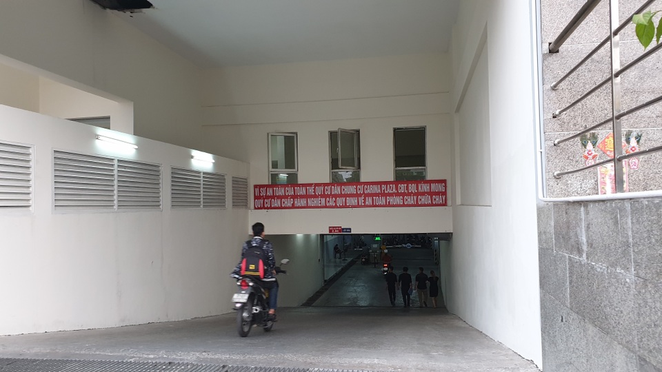1 năm sau vụ cháy %22kinh hoàng%22, cuộc sống ở Carina đã hồi sinh 1 năm sau vụ cháy %22kinh hoàng%22, cuộc sống ở Carina đã hồi sinh