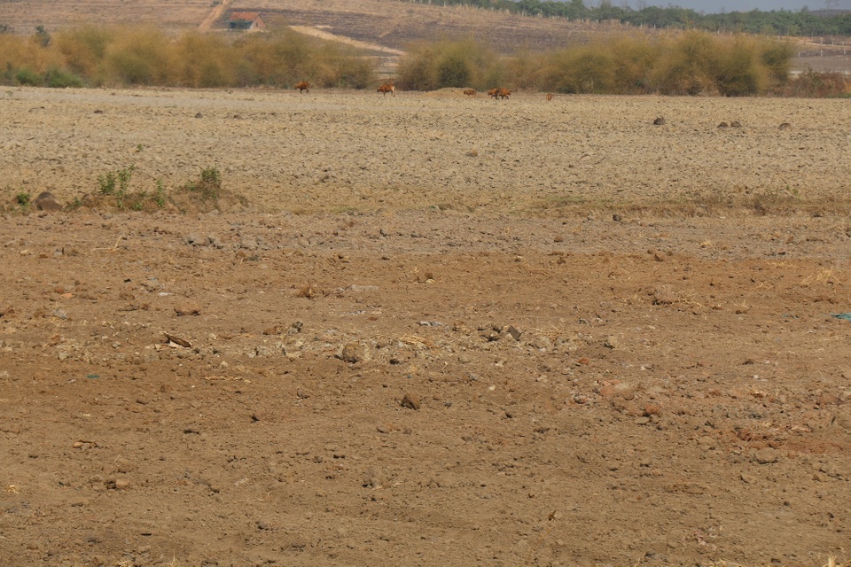 Nhiều tháng liền không mưa, Tây Nguyên khát nước! - 1