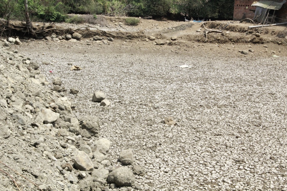 Nhiều tháng liền không mưa, Tây Nguyên khát nước! - 2