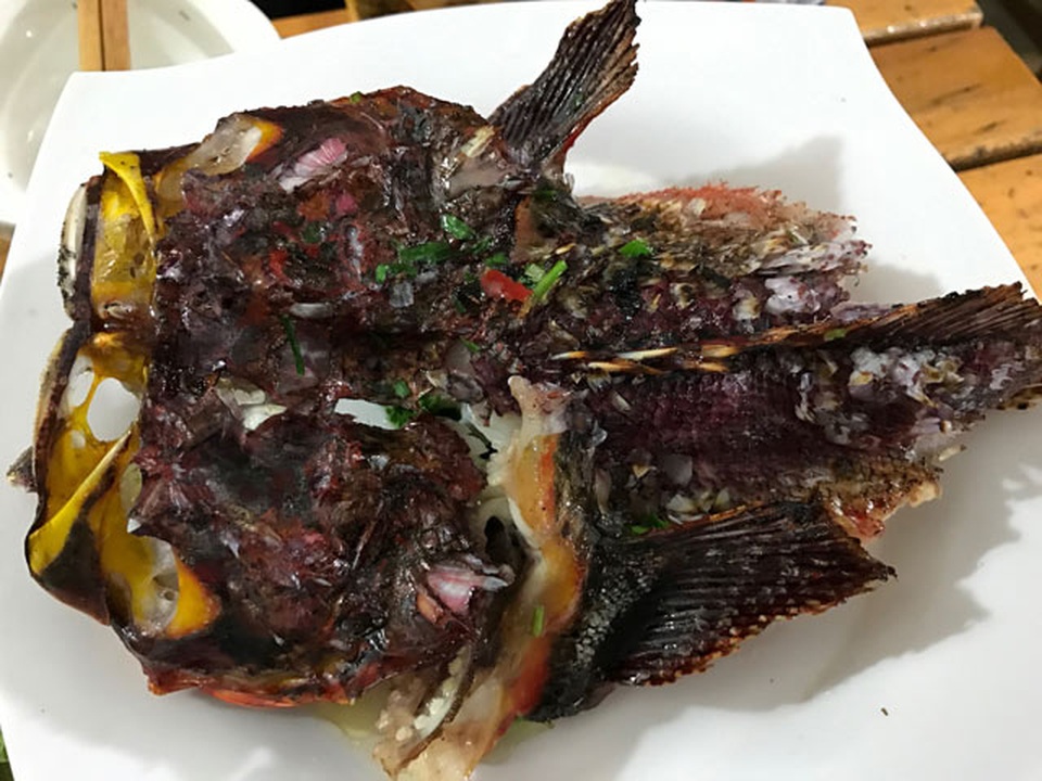 Quảng Ngãi: Hiếm thấy cá mặt quỷ khủng nặng hơn 3,5 kg như thế này - 6 Quảng Ngãi: Hiếm thấy cá mặt quỷ khủng nặng hơn 3,5 kg như thế này - 6