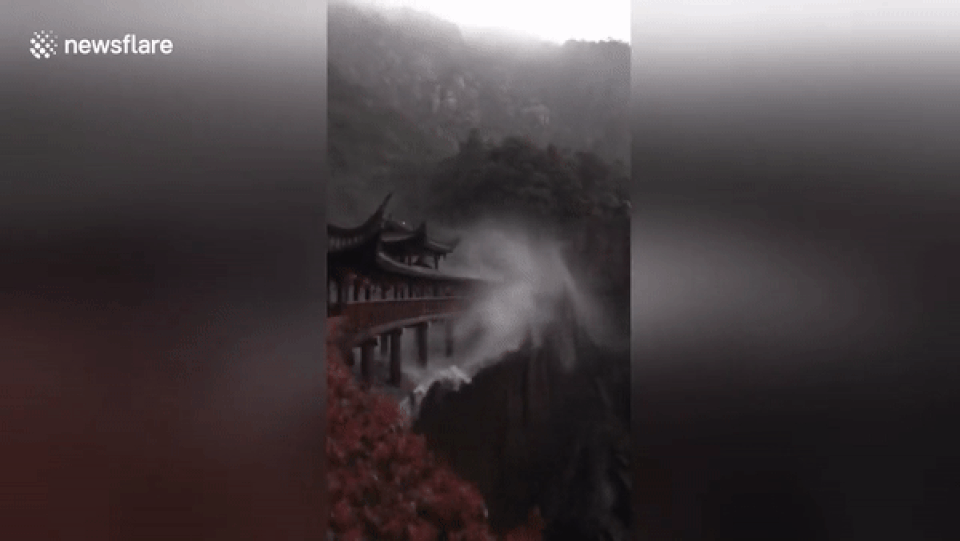 ezgif.com-video-to-gif (10).gif ezgif.com-video-to-gif (10).gif