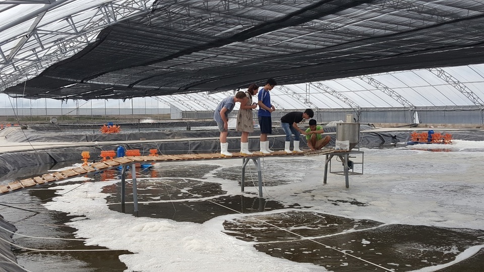 Tiến sỹ 8X tiếp lửa đam mê với ngành thủy sản  - 4