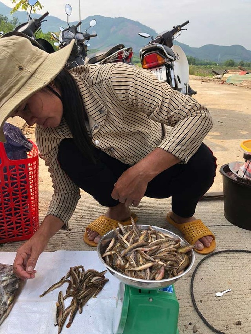 Tứ độc đặc sản cá cực hiếm ở miền núi, có tiền cũng khó mua - 12 Tứ độc đặc sản cá cực hiếm ở miền núi, có tiền cũng khó mua - 12