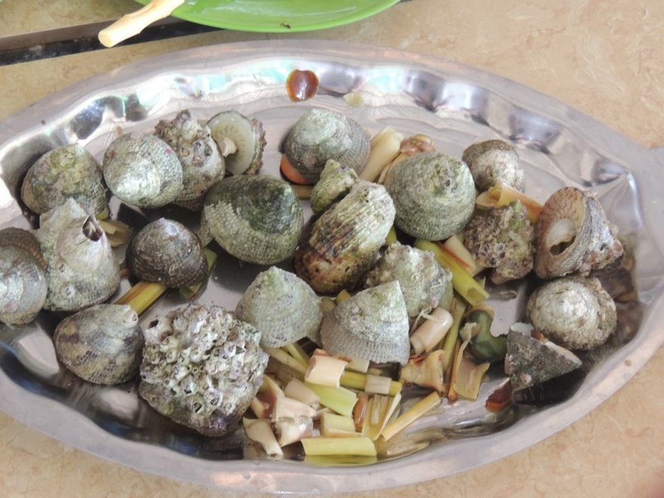 Bãi Tràng đang hút khách nhờ vẻ đẹp hoang sơ - 14 Bãi Tràng đang hút khách nhờ vẻ đẹp hoang sơ - 14