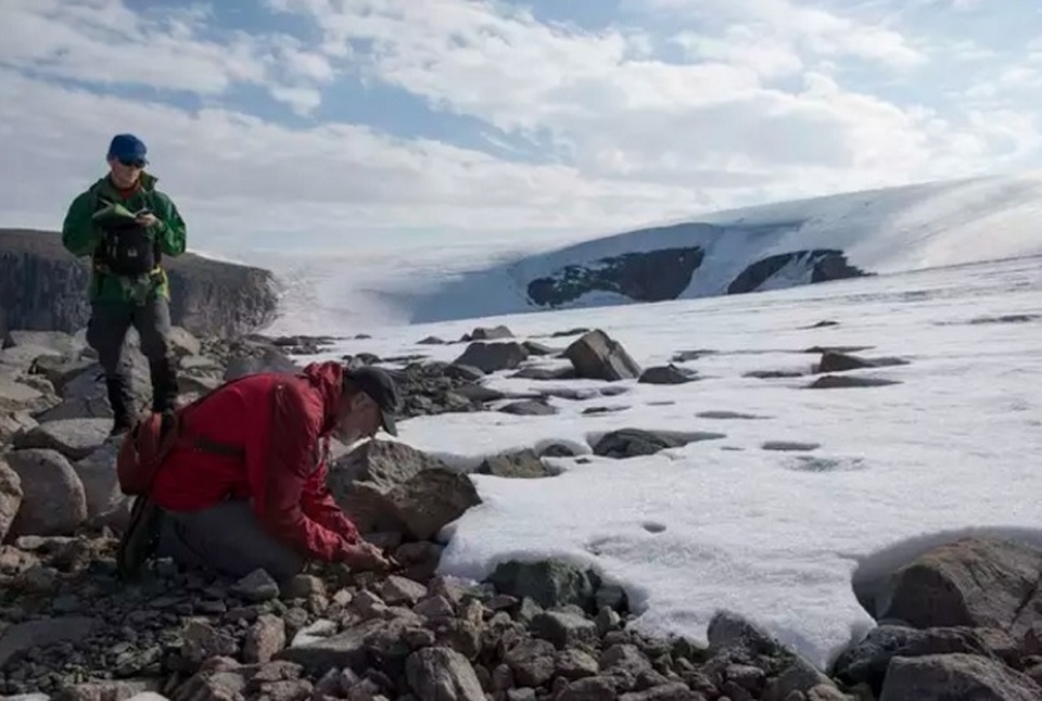 bang tan.jpg bang tan.jpg