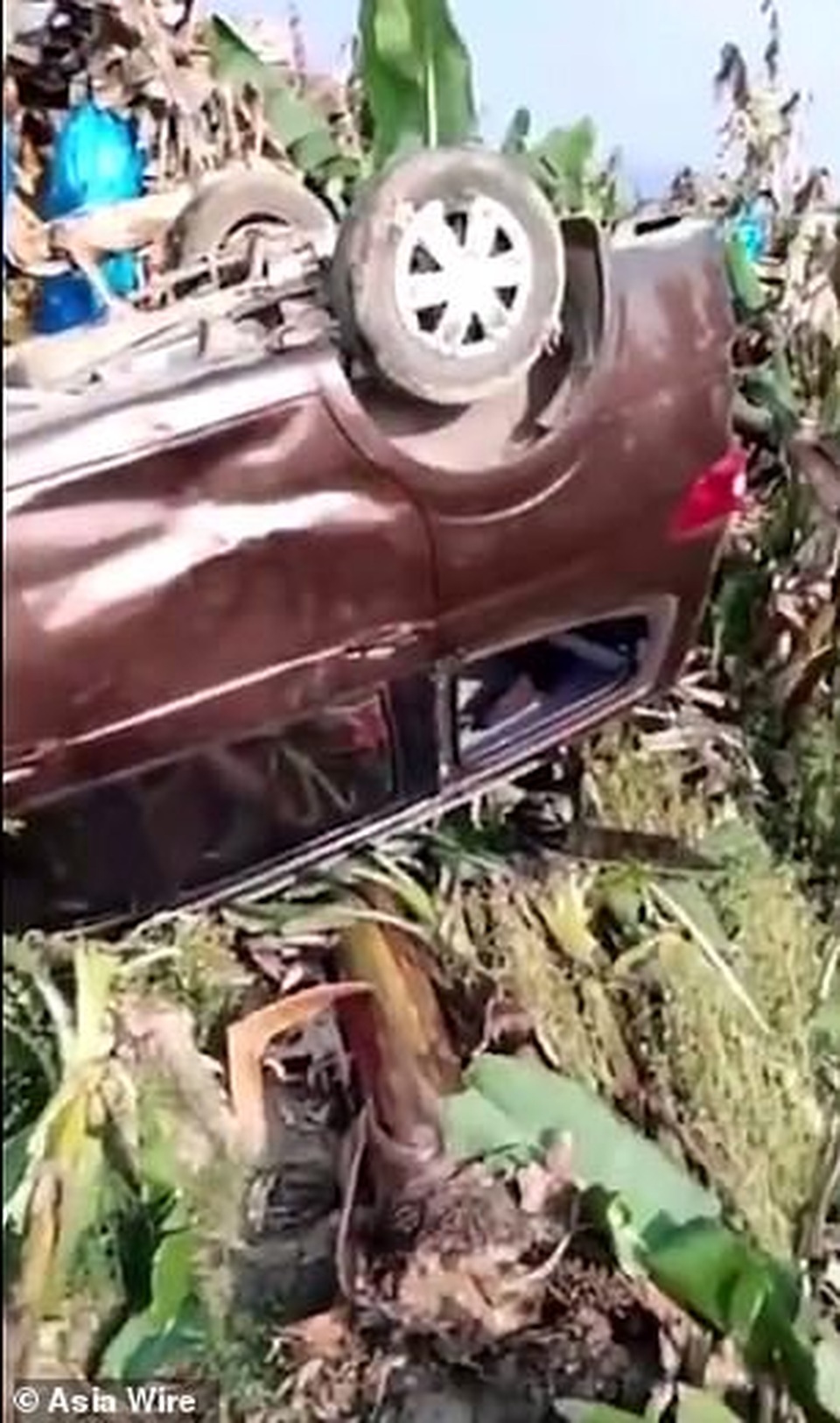 Trung Quốc: Voi không tìm được bạn tình, xông ra đường đập phá - 2 Trung Quốc: Voi không tìm được bạn tình, xông ra đường đập phá - 2