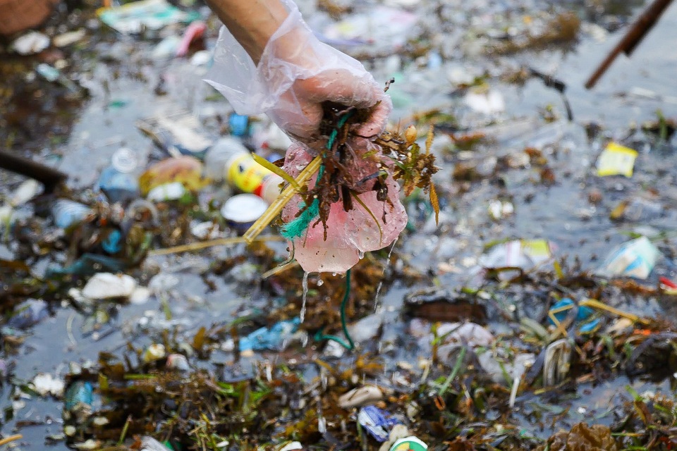 Hưởng ứng trào lưu ChallengeForChange, hơn 500 thanh niên đến đảo Lý Sơn dọn rác - 2 Hưởng ứng trào lưu ChallengeForChange, hơn 500 thanh niên đến đảo Lý Sơn dọn rác - 2