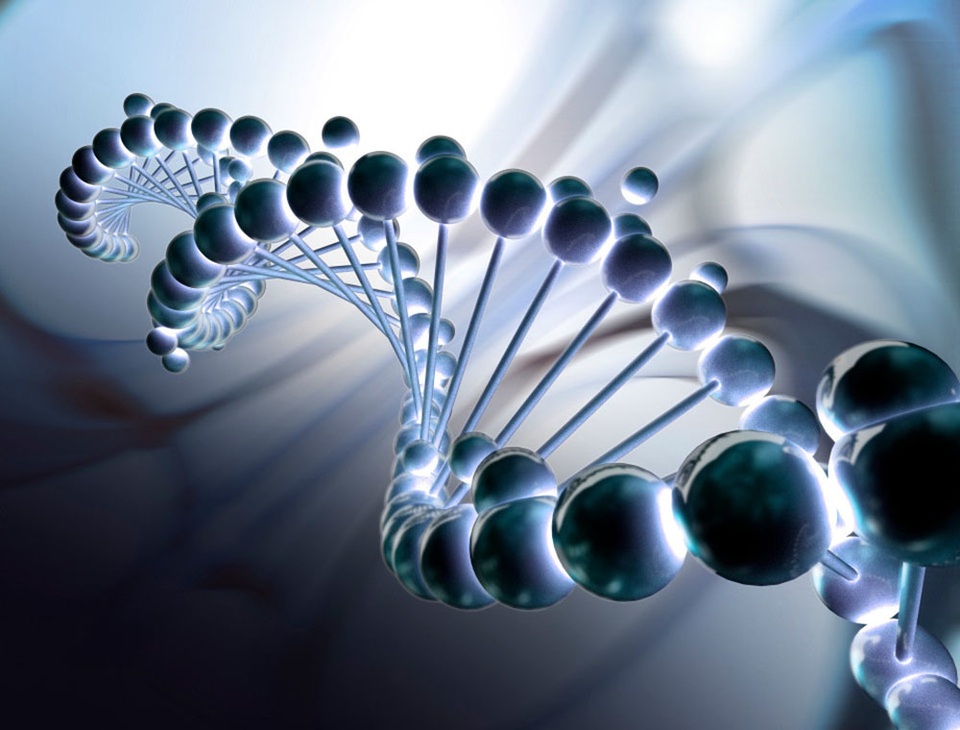 Hack DNA có thể giúp con người “bất tử” - 1 Hack DNA có thể giúp con người “bất tử” - 1