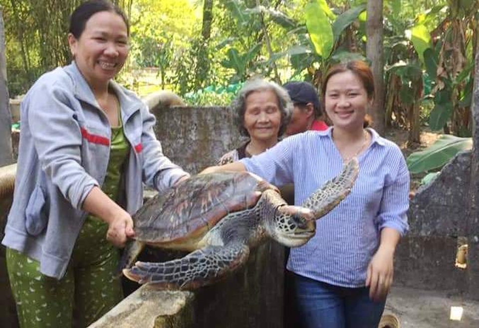 Phát hiện con vích lớn quý hiếm trong hồ nuôi cua - 3 Phát hiện con vích lớn quý hiếm trong hồ nuôi cua - 3